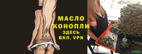 прущие грибы Заводоуковск