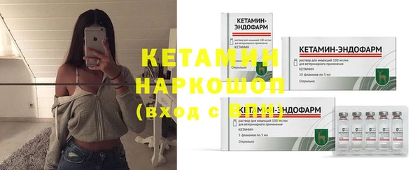 прущие грибы Заводоуковск
