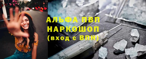 прущие грибы Заводоуковск