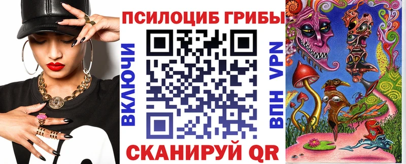 Купить где  Вилюйск  Псилоцибиновые грибы Cubensis 